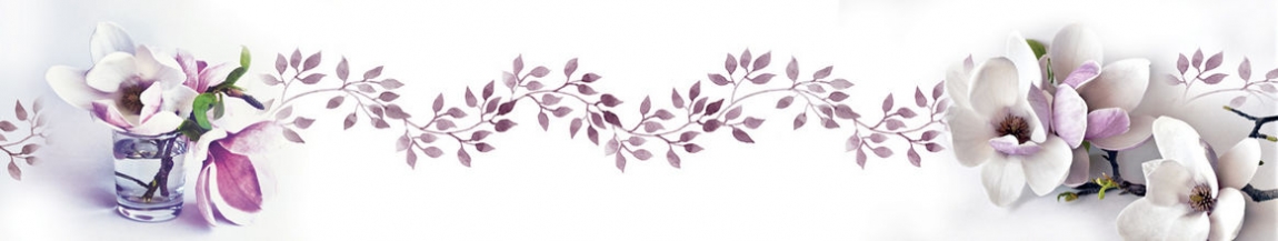 skinali 2520